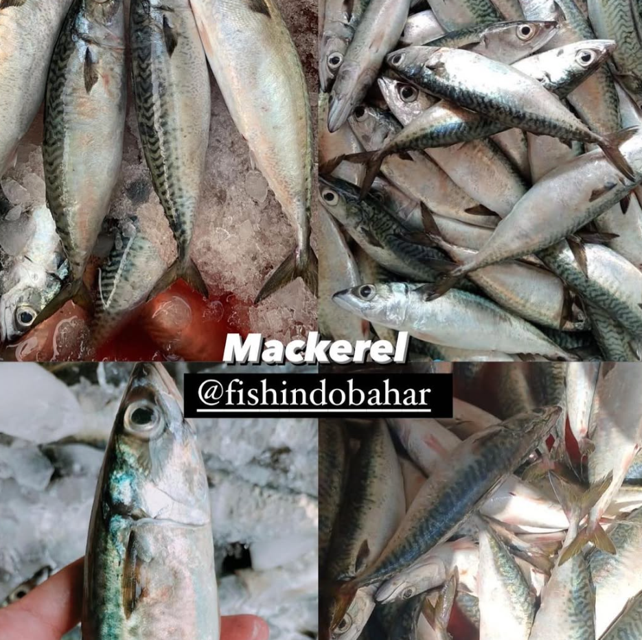 Instagram feed 5