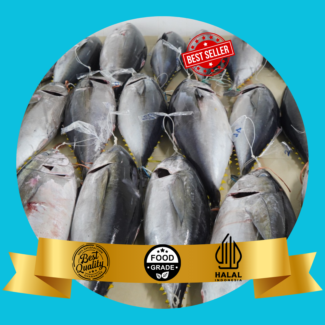 Yellowfin Tuna